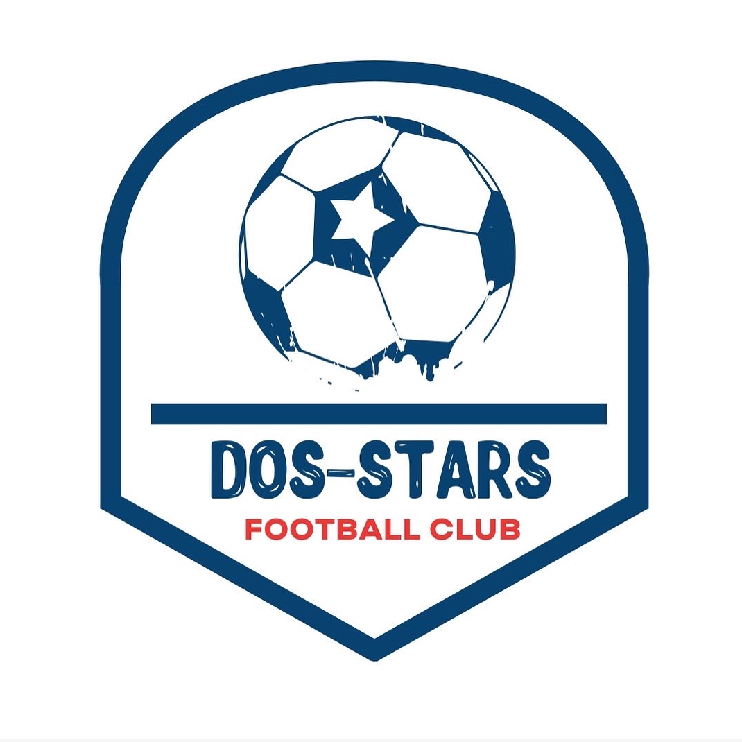 Логотип команды FC Dostar 2014