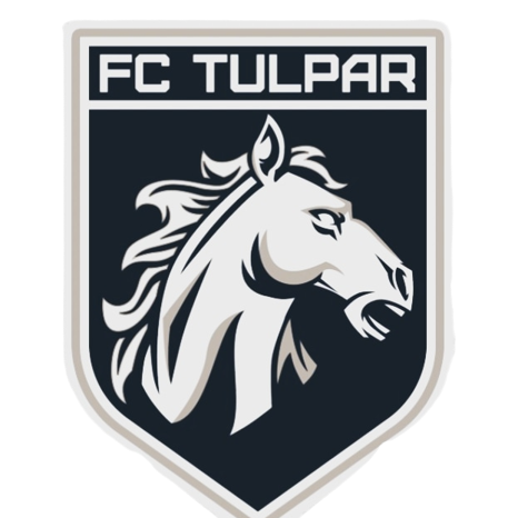 Логотип команды FC Tulpar 2013-2014