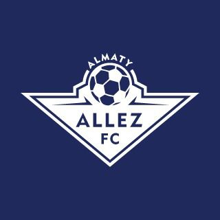 Логотип команды Allez 2011