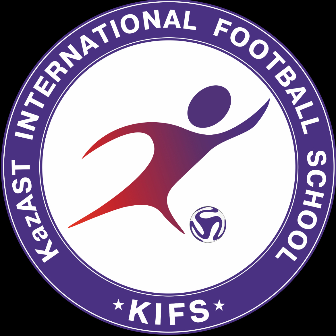 Логотип команды NGFS 2013