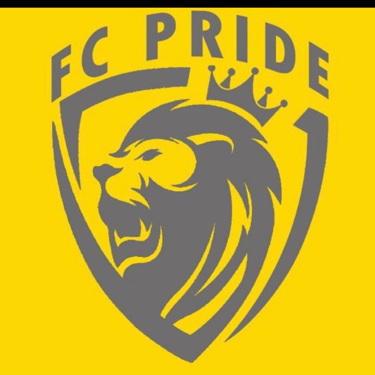 Логотип команды PFC PRIDE 2005-2006