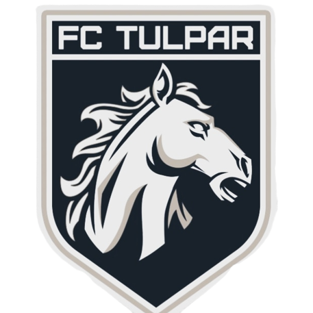 Логотип команды FC Tulpar 2014-2015