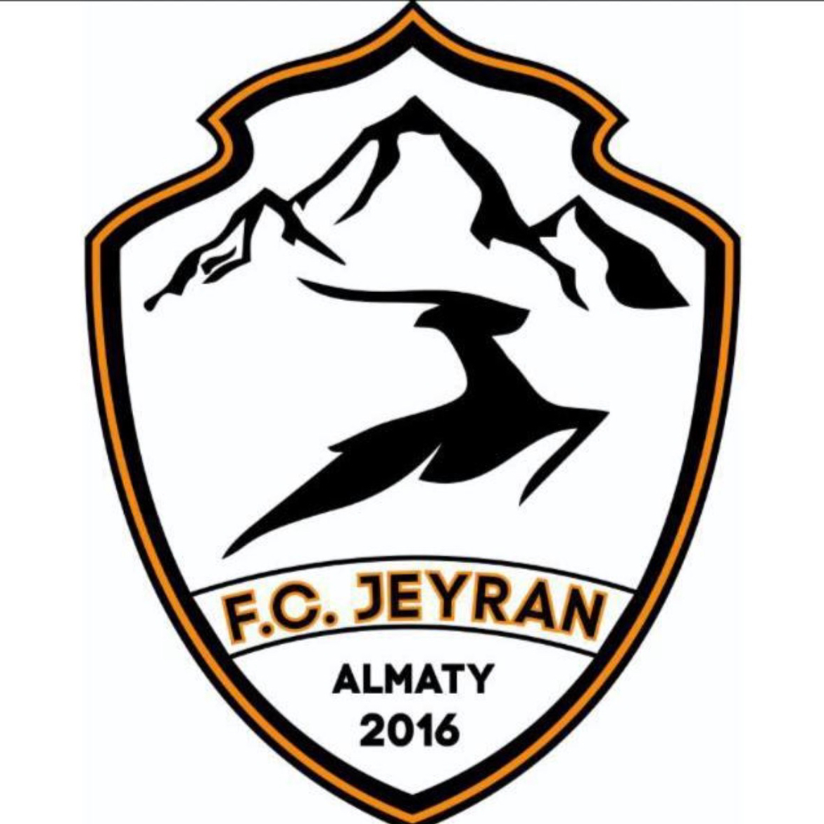 Логотип команды Jeyran 2013B
