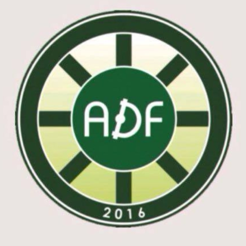 Логотип команды ADF BI PROFIT 2010-2011