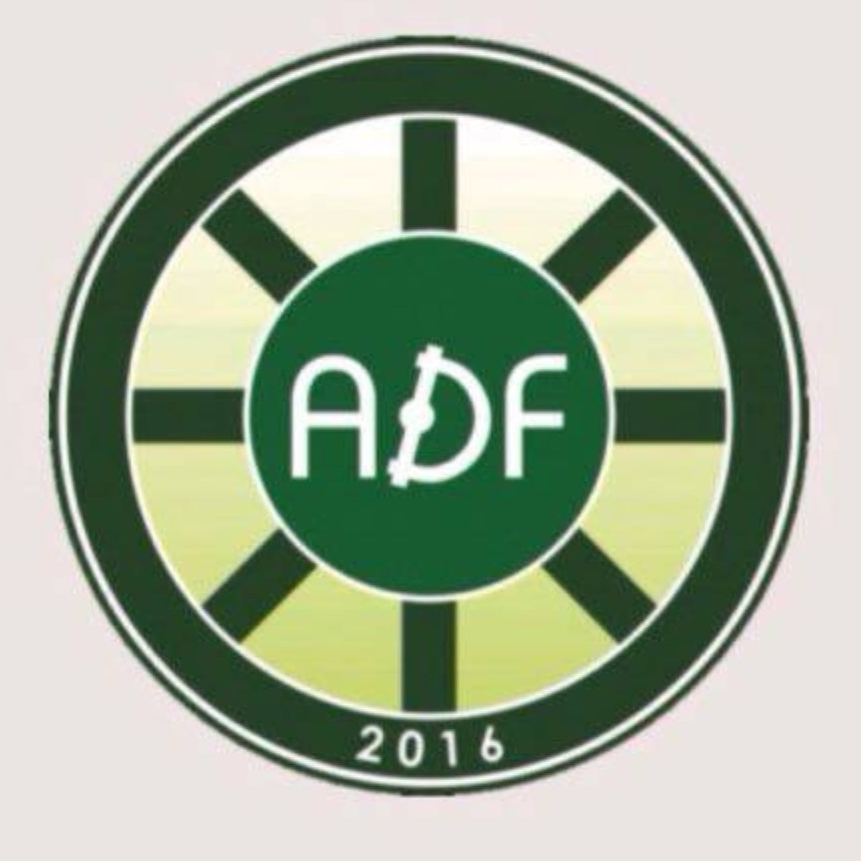 Логотип команды ADF BI PROFIT 2014