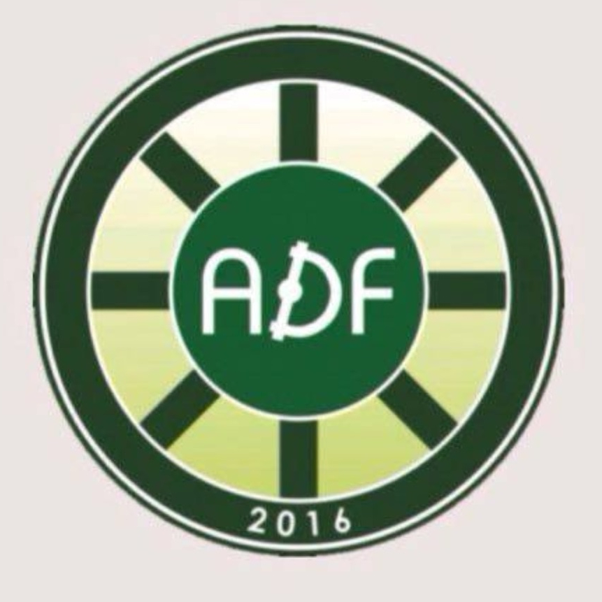 Логотип команды ADF BI PROFIT 2012