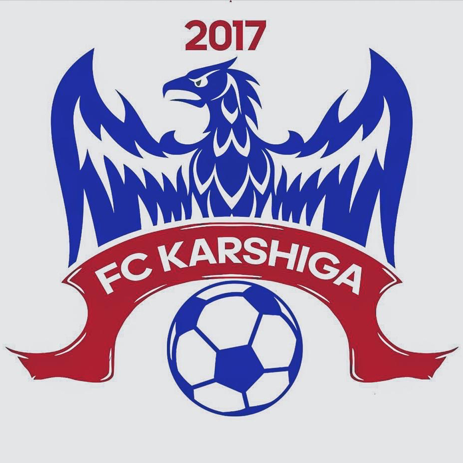 Логотип команды Karshiga 2013