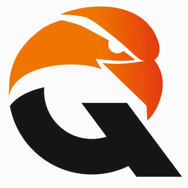 Логотип команды Qyran Динамо 2015