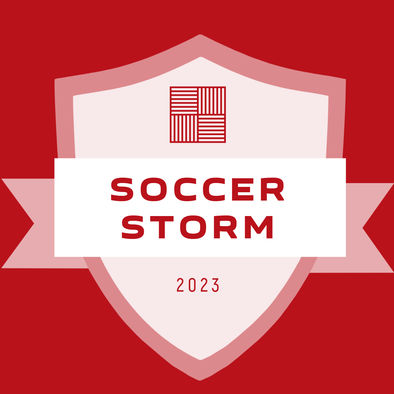 Логотип команды Soccer Storm