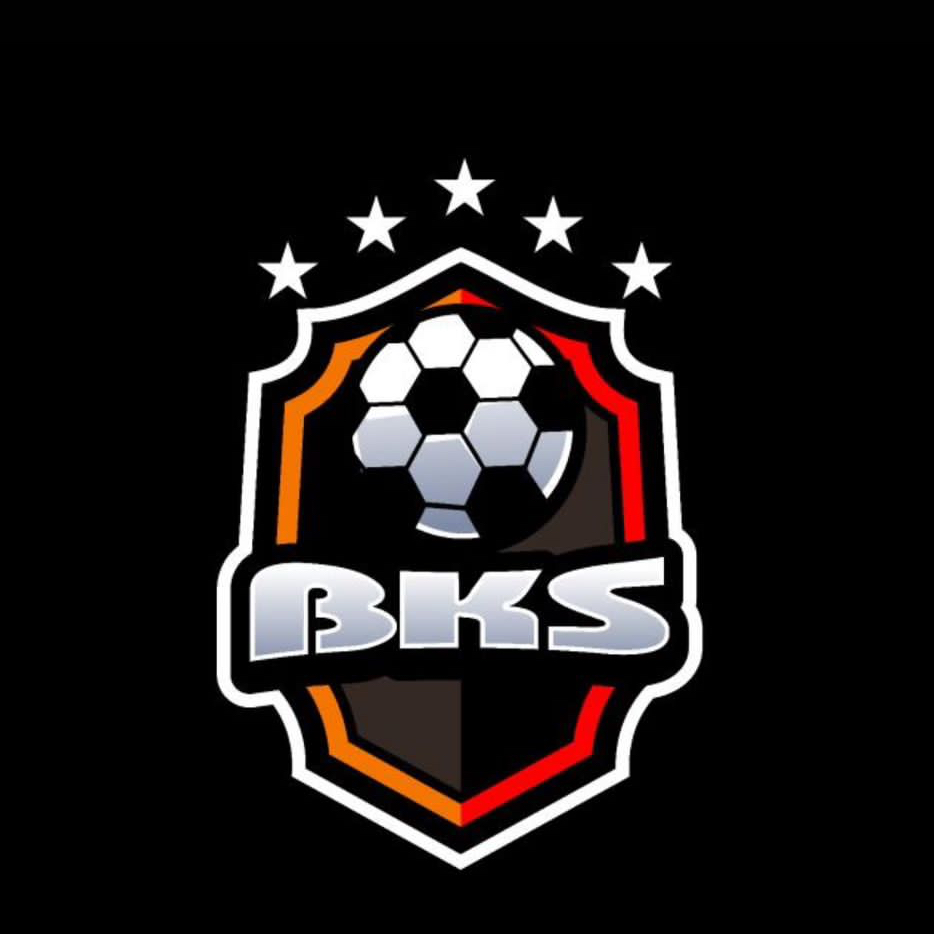 Логотип команды BKS