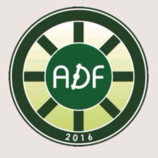 Логотип команды ADF BI PROFIT 2010