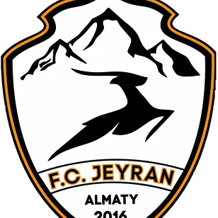 Логотип команды Jeyran 2013 D