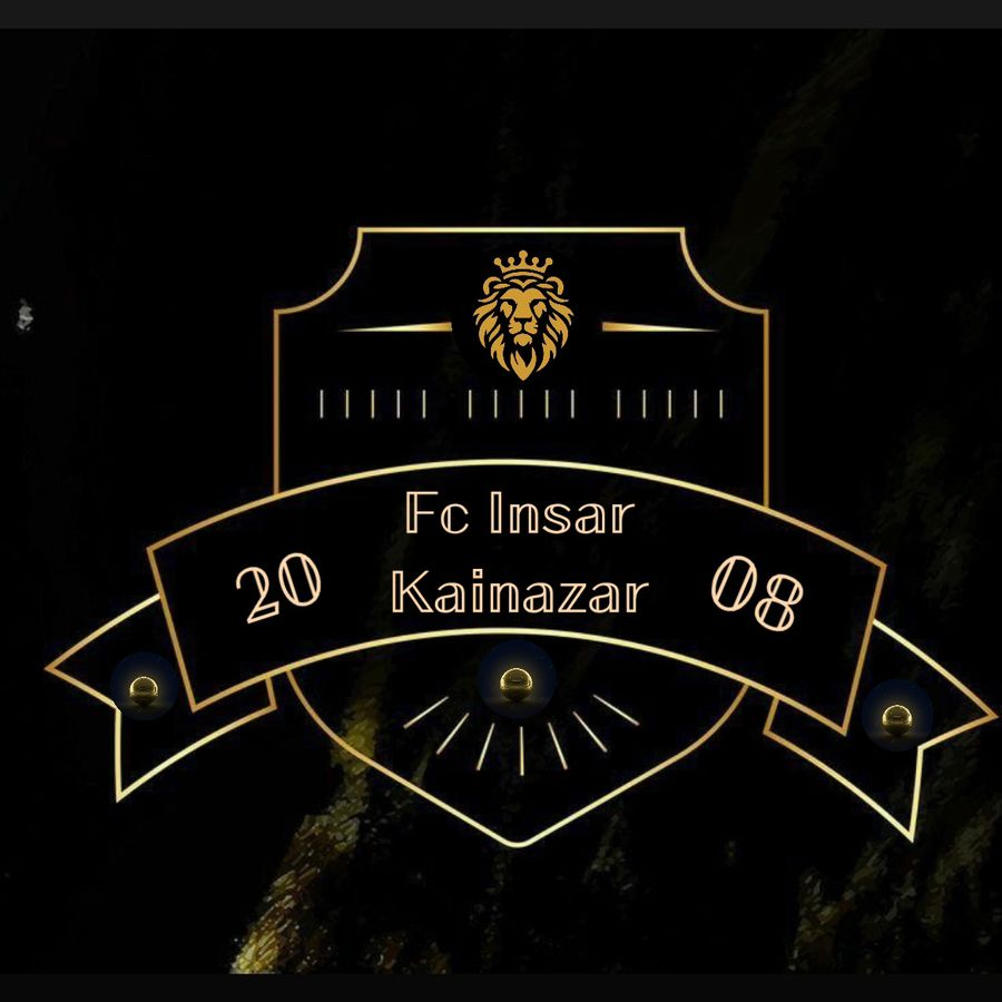Логотип команды FC INSAR