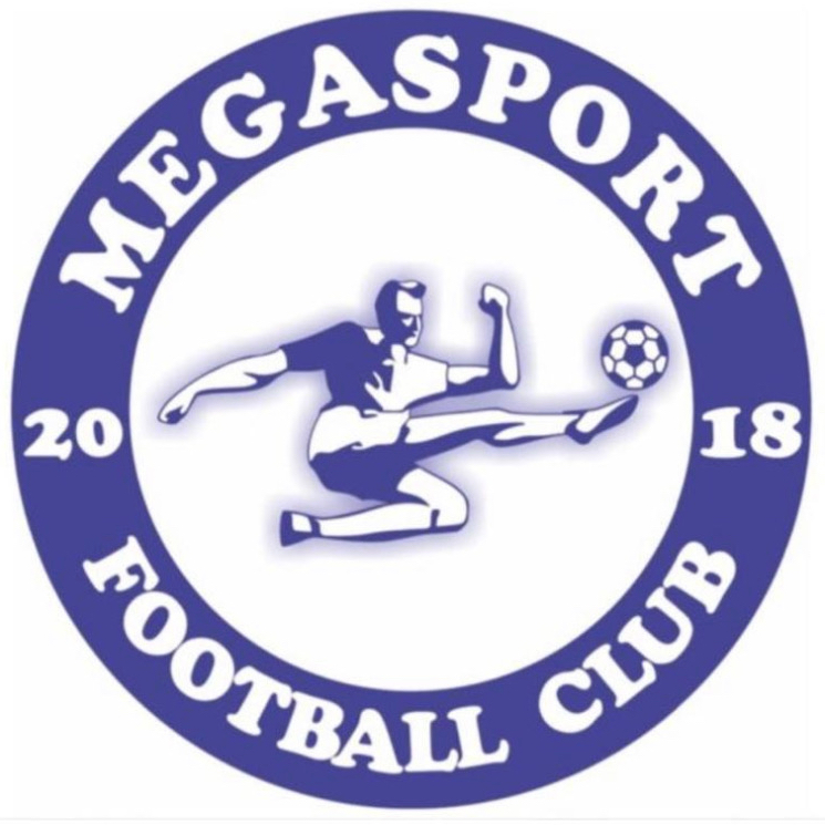 Логотип команды Mega Sport 2012