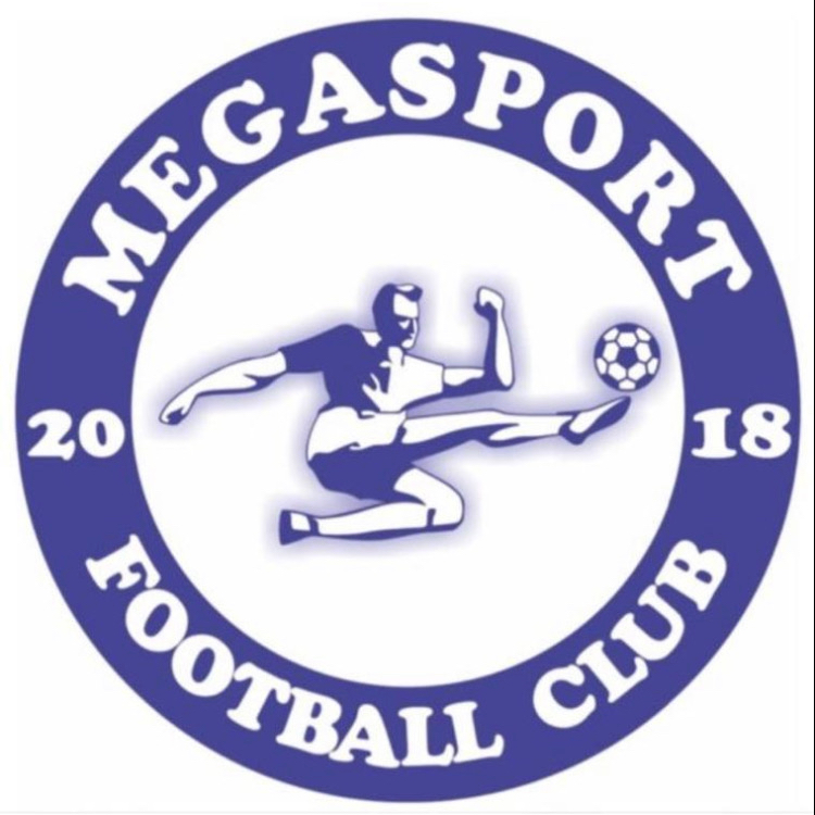 Логотип команды Mega Sport 2011