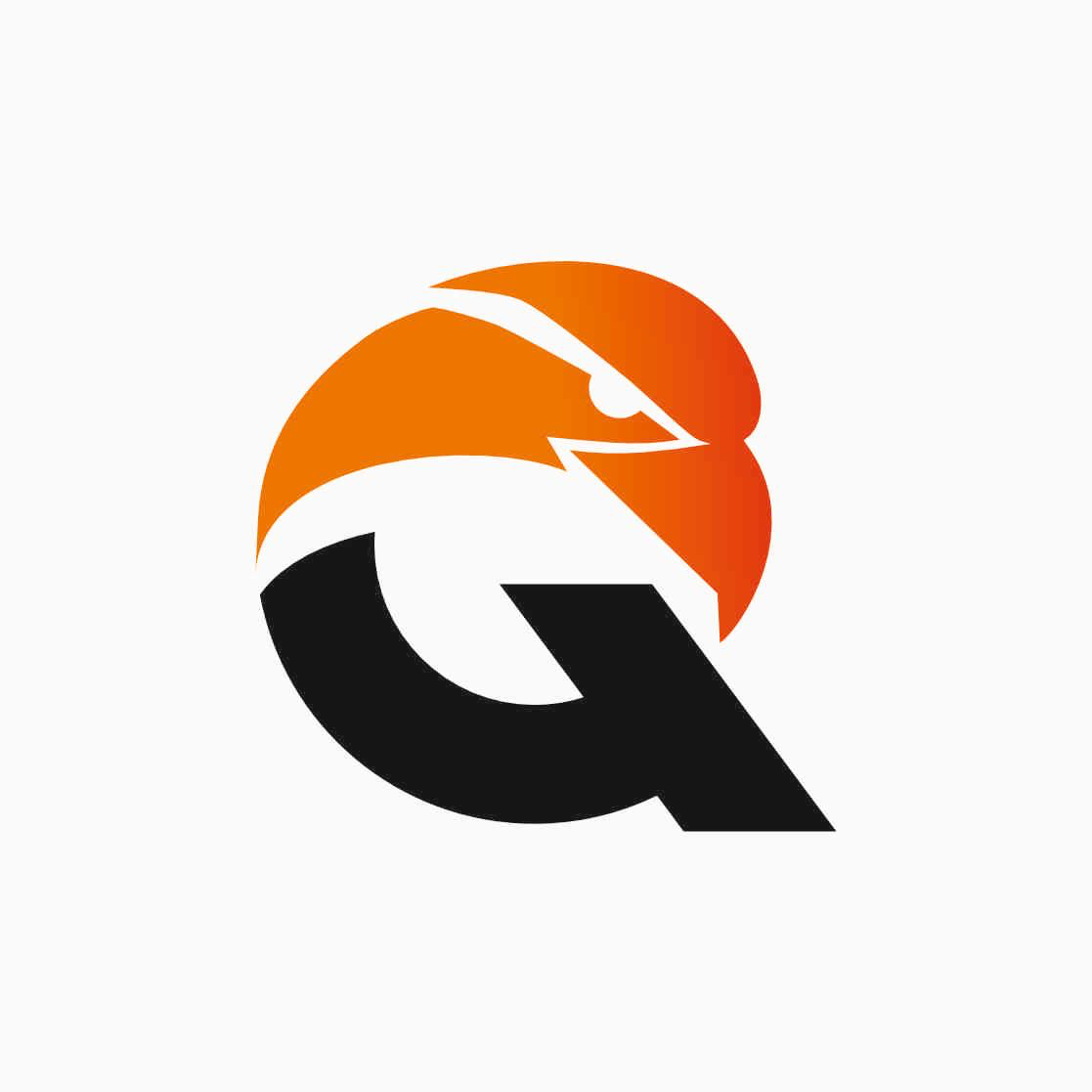 Логотип команды Qyran 2015-2016