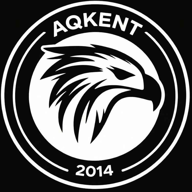 Логотип команды Qyran - Aqkent 10