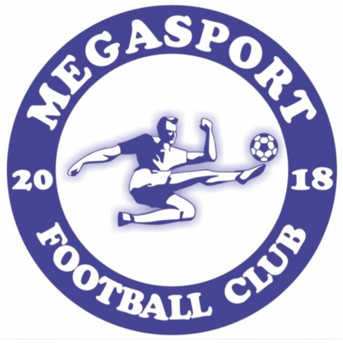 Логотип команды ФК Мега Спорт 2010