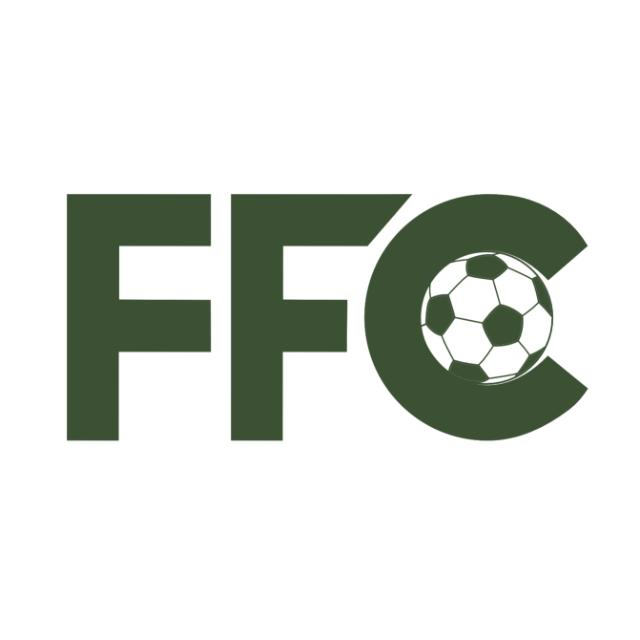 Логотип команды FFC 2016