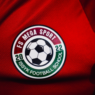 Логотип команды FS MEGA SPORT 2010-2011