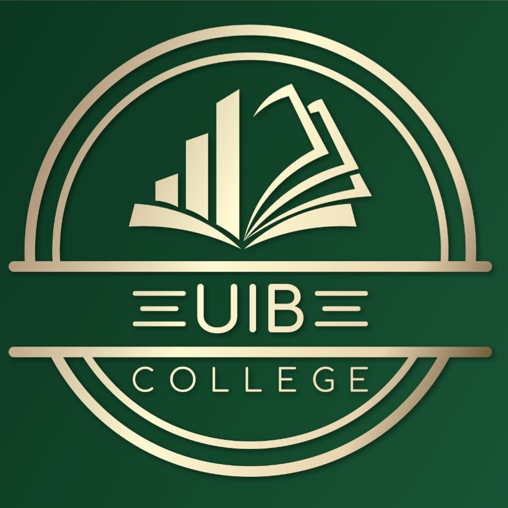 Логотип команды UIB