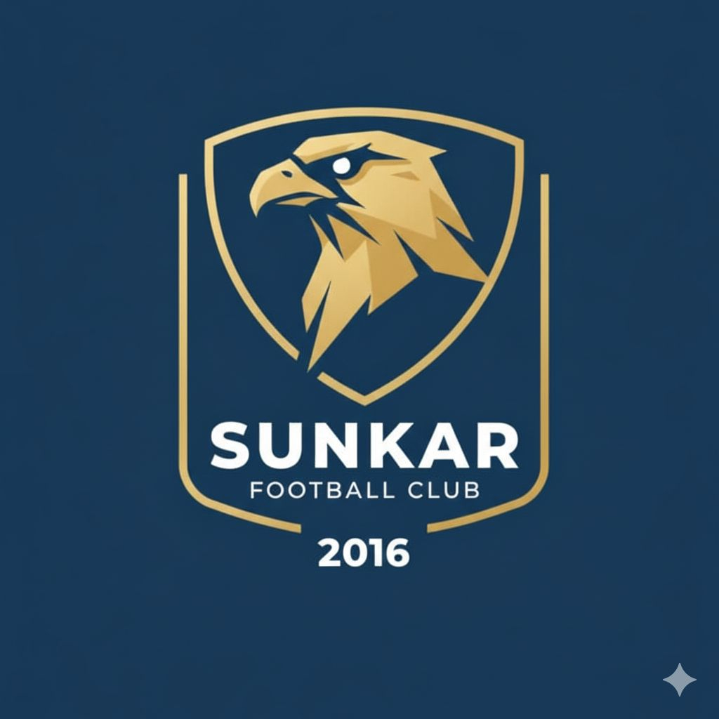 Логотип команды FC Sunkar 2013