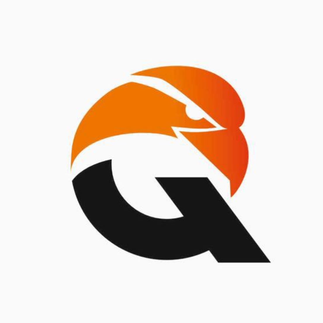 Логотип команды Qyran 2018-2019-2020 г