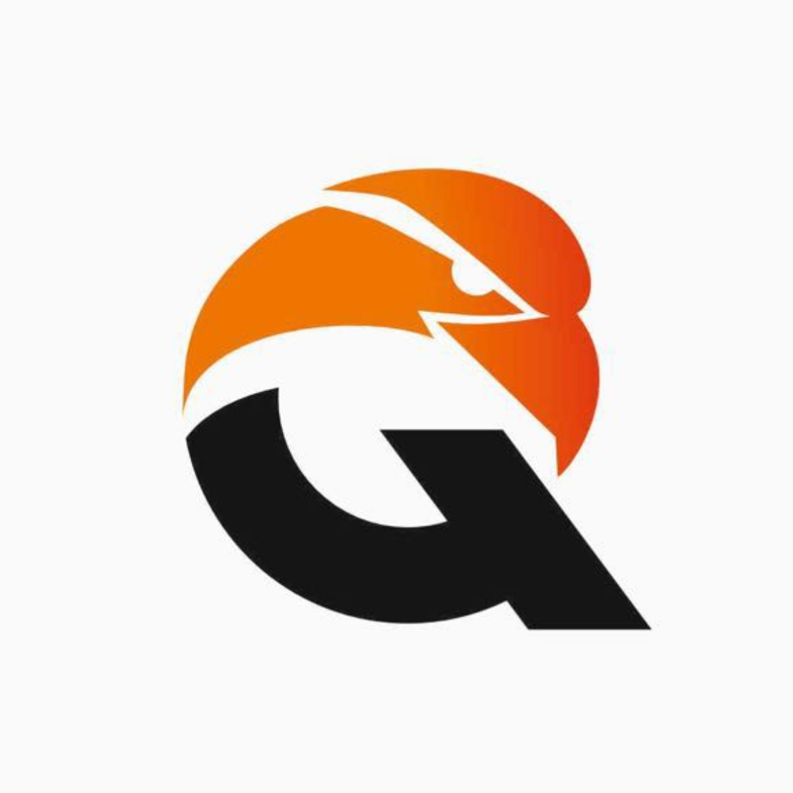 Логотип команды Qyran 2017-2018 г
