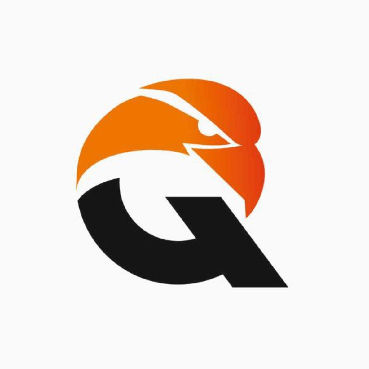 Логотип команды Qyran 2015-2016 г