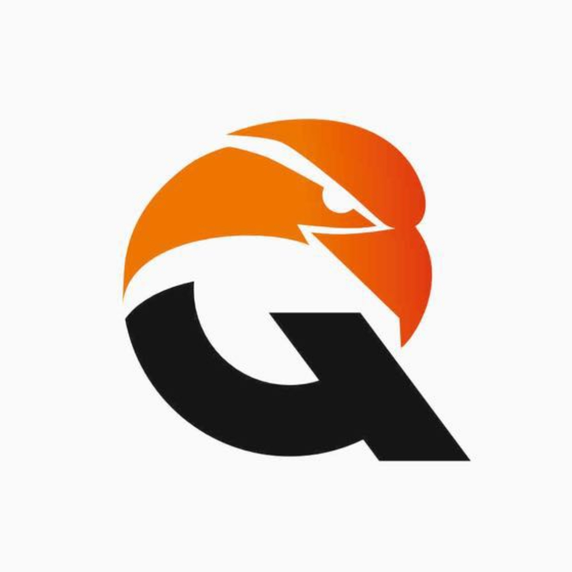 Логотип команды Qyran 2013-2014 г