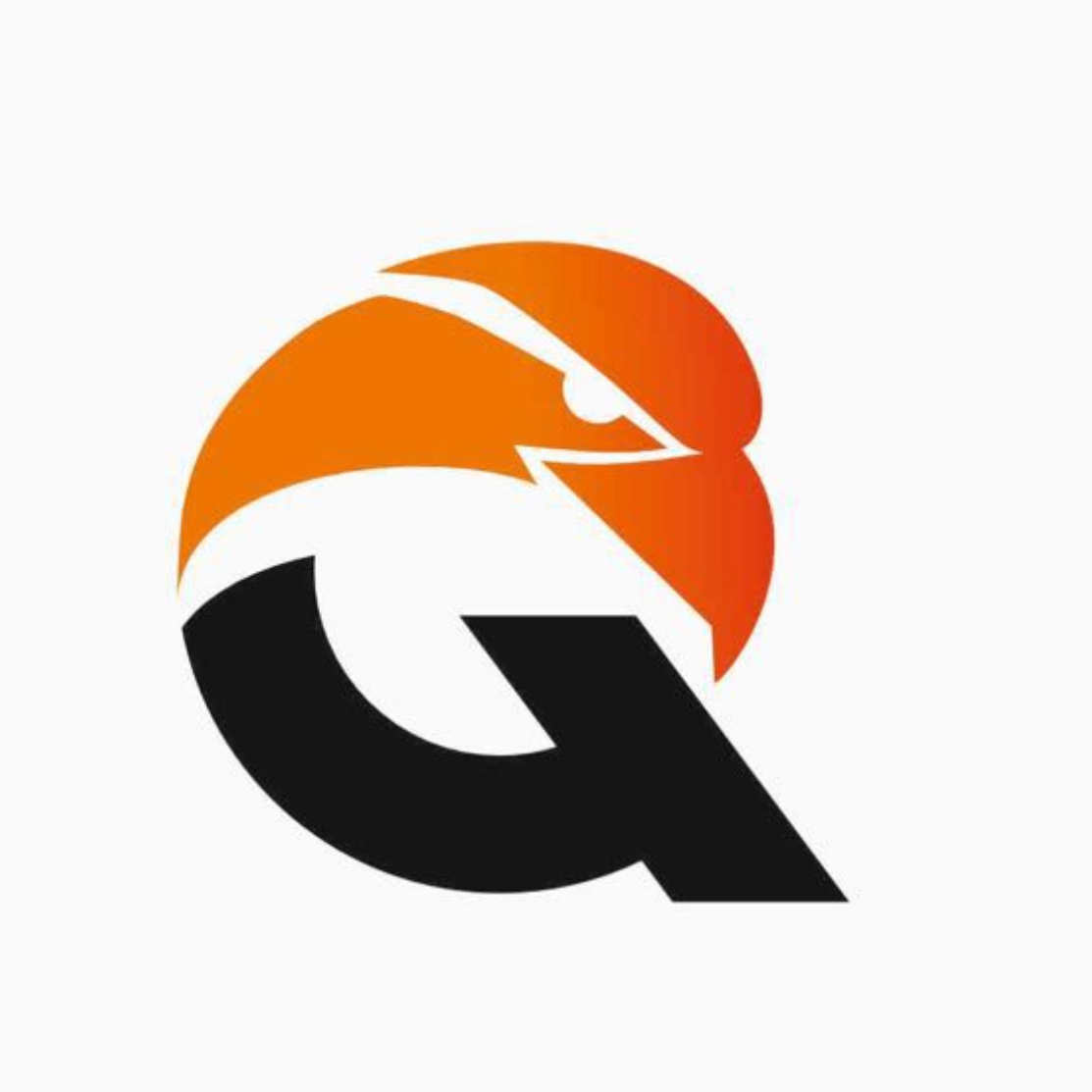 Логотип команды Qyran 2011-2012 г