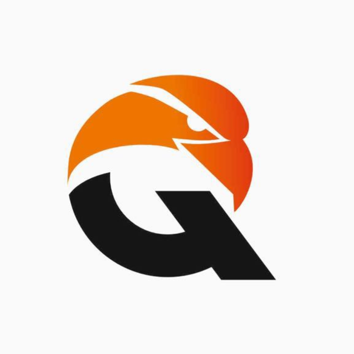 Логотип команды Qyran 2010-2011