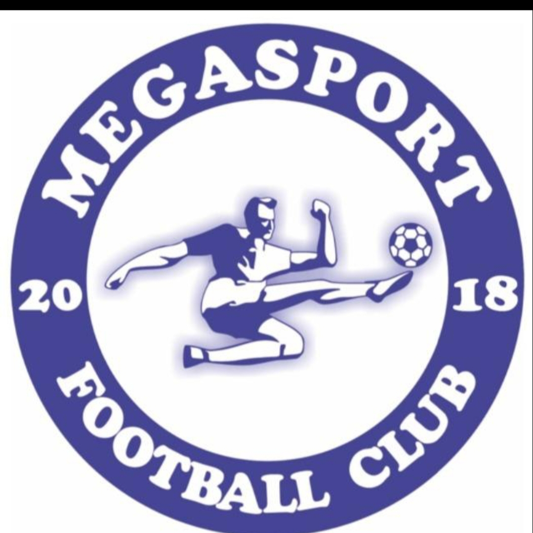 Логотип команды Mega sport