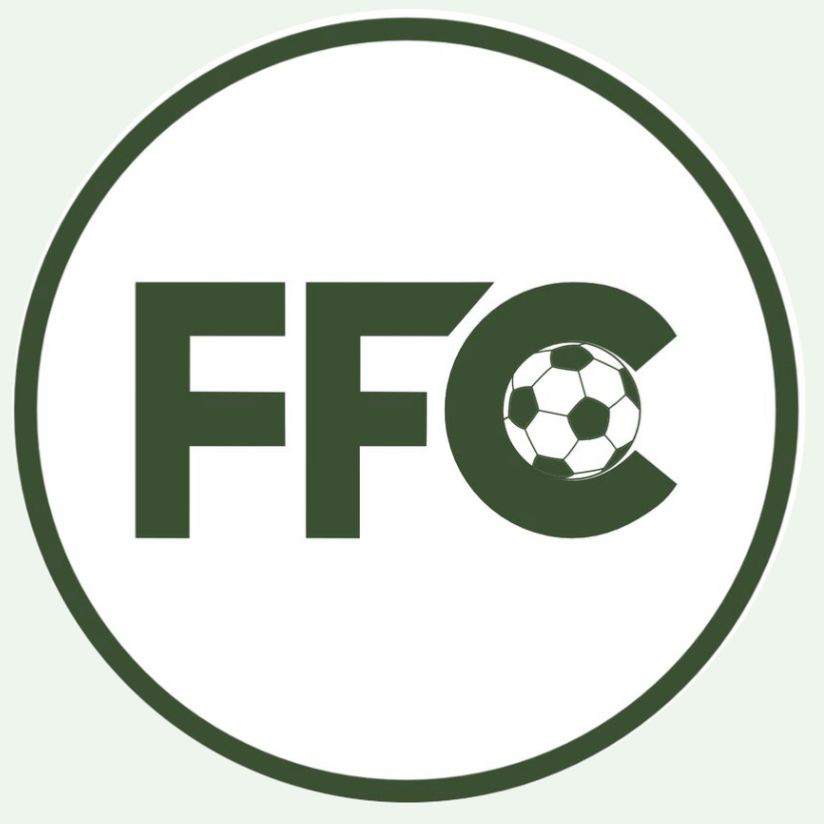 Логотип команды FFC 2014 Б