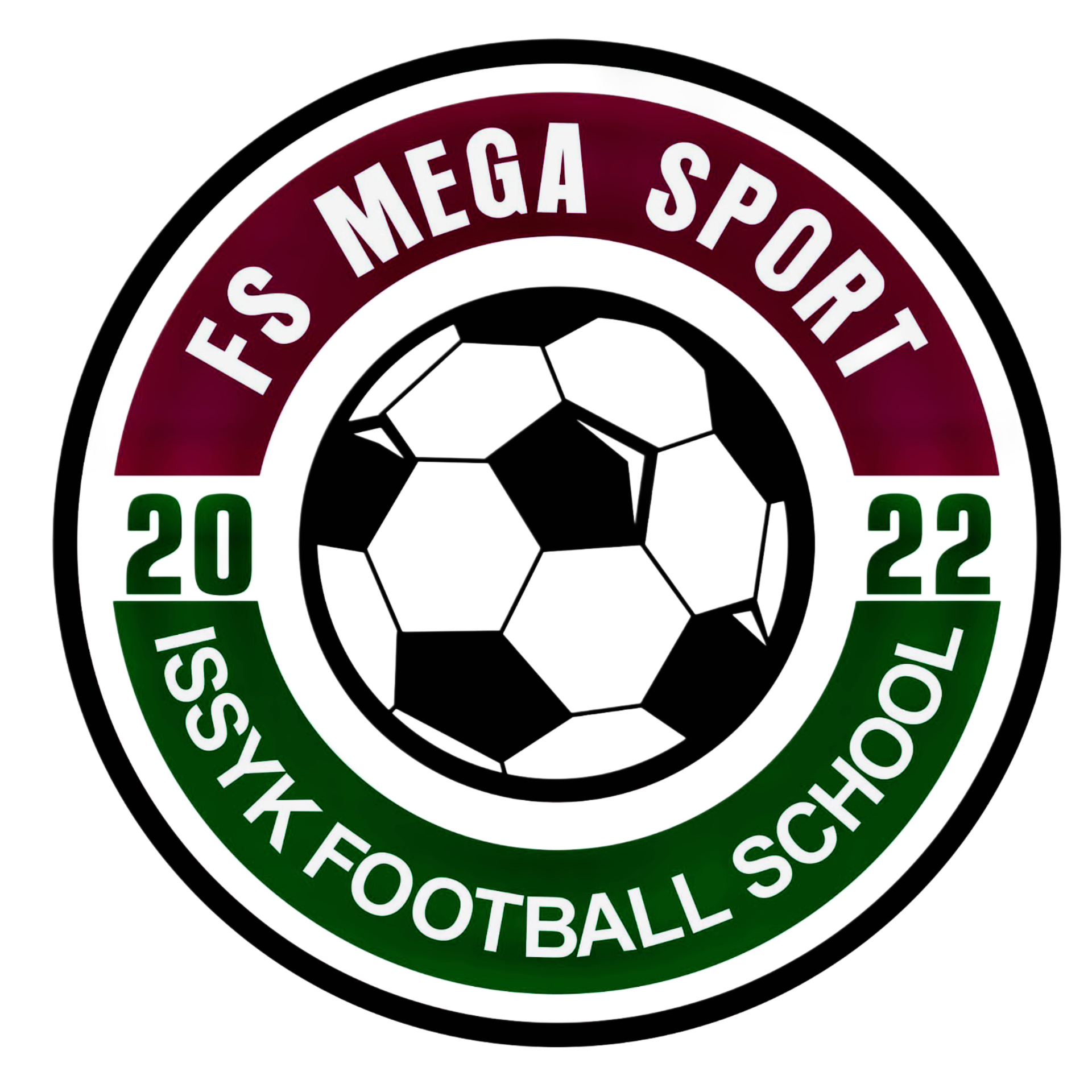 Логотип команды FS MEGASPORT 2014
