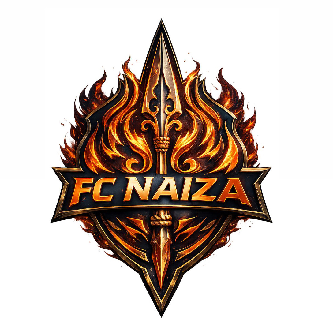 Логотип команды NAIZA