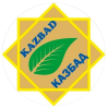 Логотип команды KAZBAD